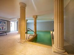 Zimmerbild 7