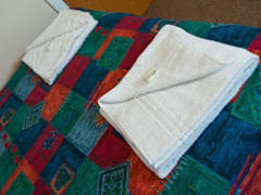 Zimmerbild 10