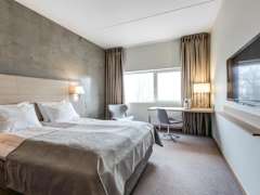 Zimmerbild 11