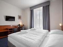 Zimmerbild 11