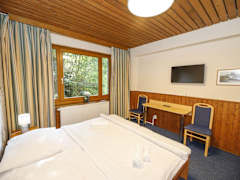 Zimmerbild 10