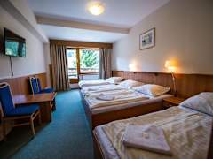Zimmerbild 8