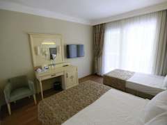 Zimmerbild 9