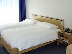 Zimmerbild 9