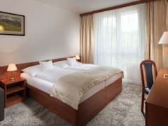 Zimmerbild 6