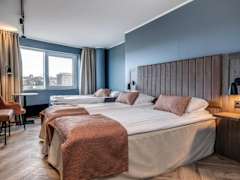 Zimmerbild 11