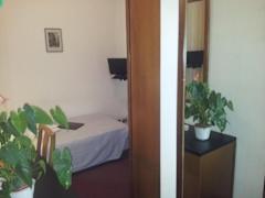 Zimmerbild 8