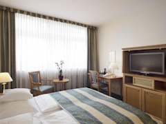 Zimmerbild 12