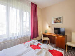 Zimmerbild 8