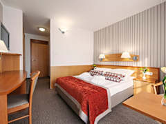 Zimmerbild 6