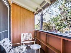 Zimmerbild 8
