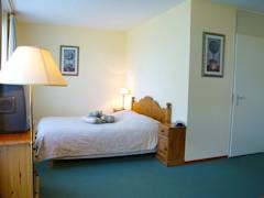 Zimmerbild 8