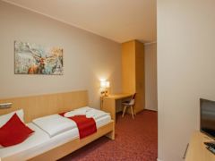 Zimmerbild 6