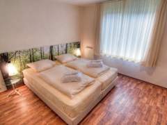 Zimmerbild 6