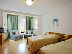 Zimmerbild 6