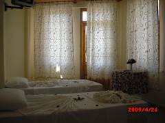 Zimmerbild 8