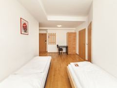 Zimmerbild 8