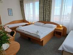 Zimmerbild 9