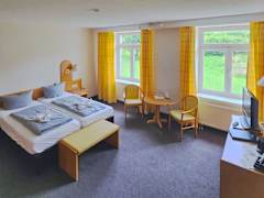 Zimmerbild 22