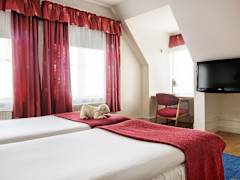 Zimmerbild 21