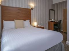 Zimmerbild 8