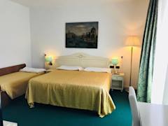 Zimmerbild 7