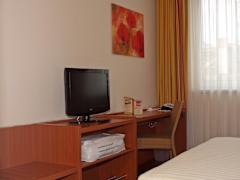 Zimmerbild 10