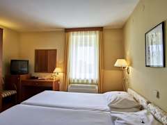 Zimmerbild 7