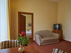 Zimmerbild 11