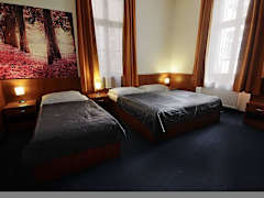 Zimmerbild 6