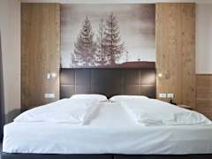 Zimmerbild 11
