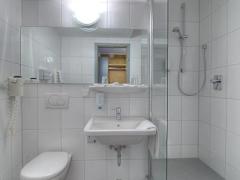 Zimmerbild 11