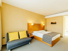 Zimmerbild 6