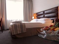 Zimmerbild 9