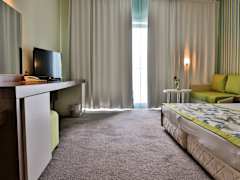 Zimmerbild 12