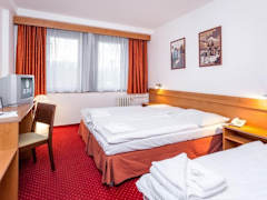 Zimmerbild 10