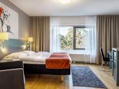 Zimmerbild 8