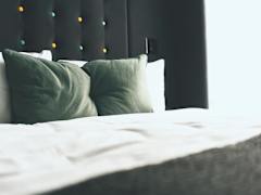 Zimmerbild 9