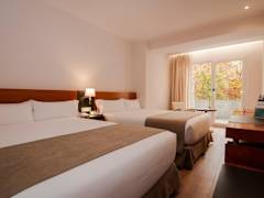Zimmerbild 11