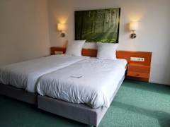 Zimmerbild 9