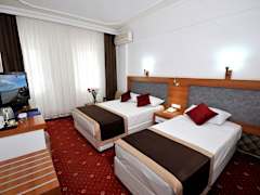 Zimmerbild 8