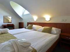 Zimmerbild 9