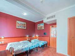 Zimmerbild 10