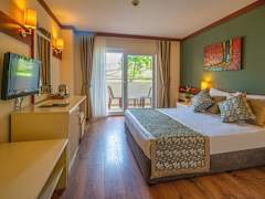 Zimmerbild 7