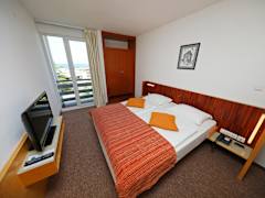 Zimmerbild 7