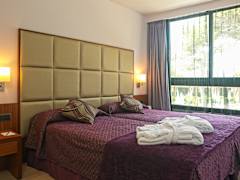 Zimmerbild 10