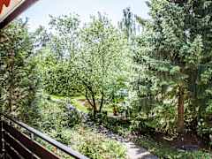 Zimmerbild 16