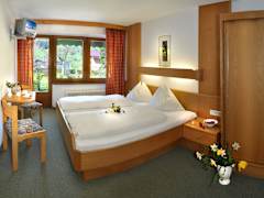 Zimmerbild 6