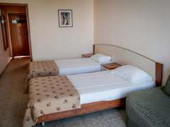 Zimmerbild 6