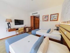 Zimmerbild 9